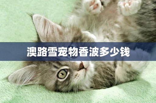 澳路雪寵物香波多少錢