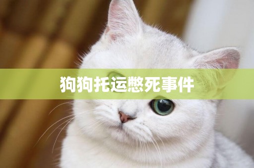 狗狗托運憋死事件