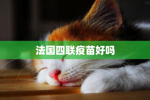 法國四聯疫苗好嗎
