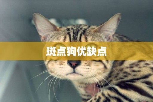 斑點狗優缺點