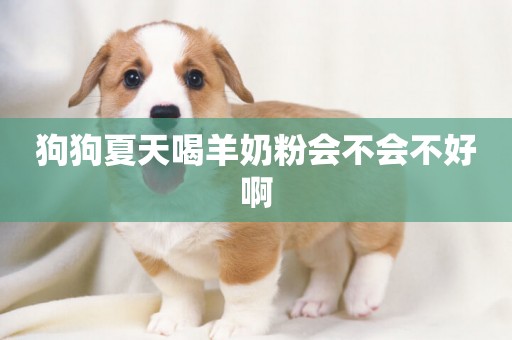 狗狗夏天喝羊奶粉會不會不好啊