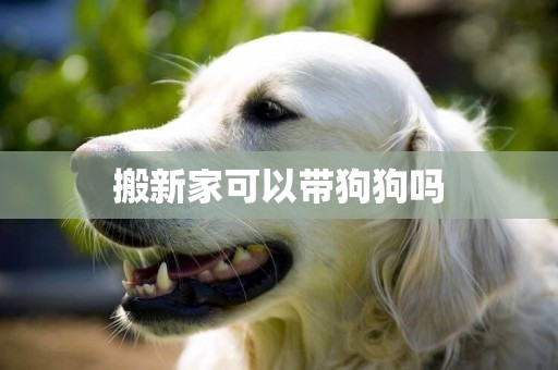 搬新家可以帶狗狗嗎