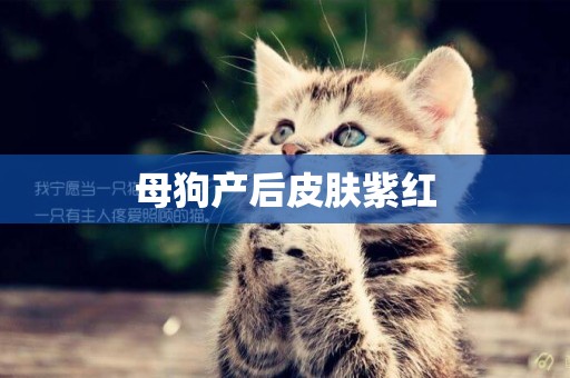母狗產后皮膚紫紅