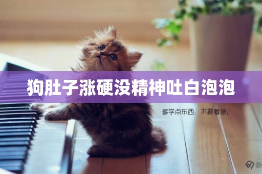 狗肚子漲硬沒精神吐白泡泡