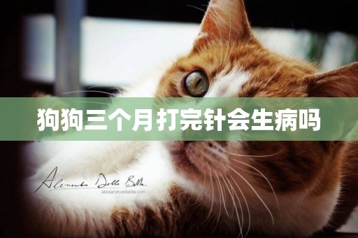 狗狗三個月打完針會生病嗎