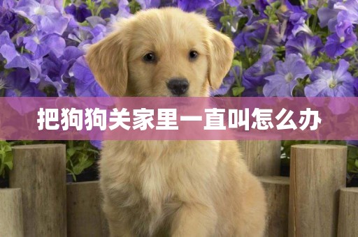 把狗狗關家里一直叫怎么辦