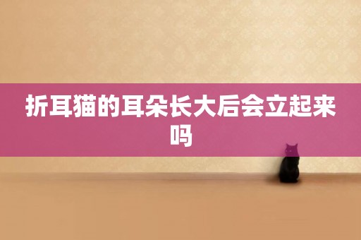 折耳貓的耳朵長大后會立起來嗎