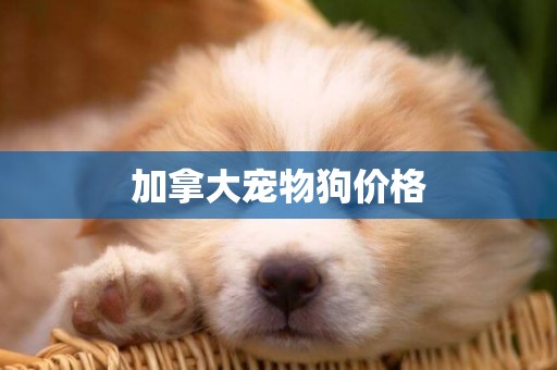 加拿大寵物狗價格