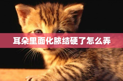 耳朵里面化膿結硬了怎么弄