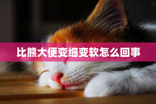 比熊大便變細變軟怎么回事