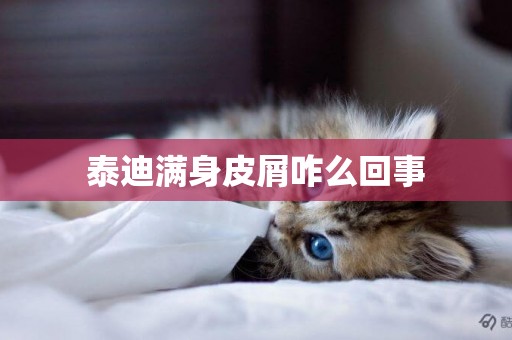泰迪滿身皮屑咋么回事