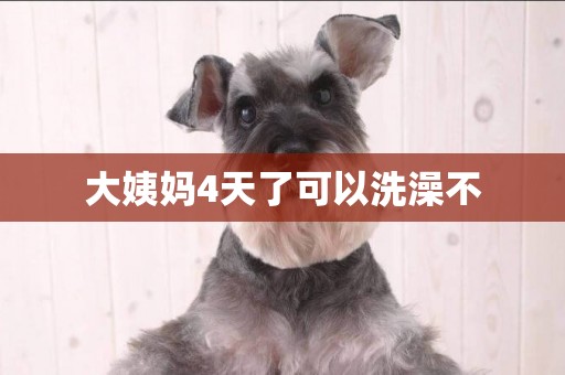 大姨媽4天了可以洗澡不