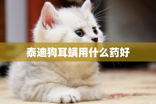 泰迪狗耳螨用什么藥好