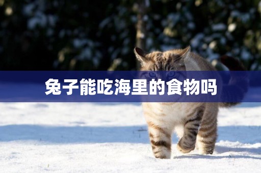 兔子能吃海里的食物嗎