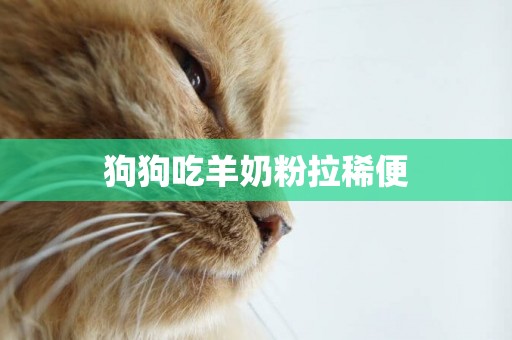 狗狗吃羊奶粉拉稀便