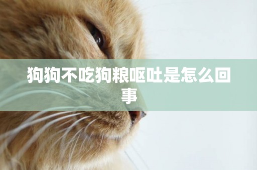 狗狗不吃狗糧嘔吐是怎么回事