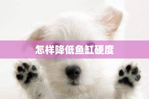 怎樣降低魚缸硬度