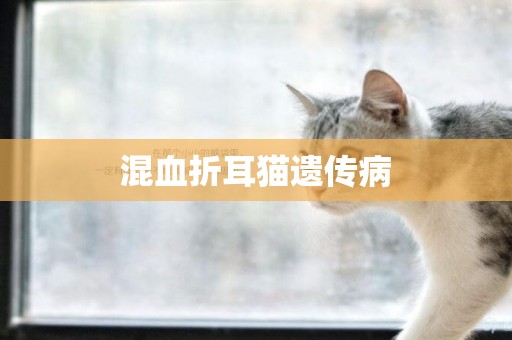 混血折耳貓遺傳病