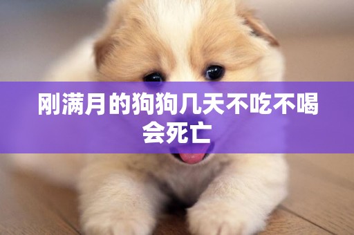 剛滿月的狗狗幾天不吃不喝會死亡