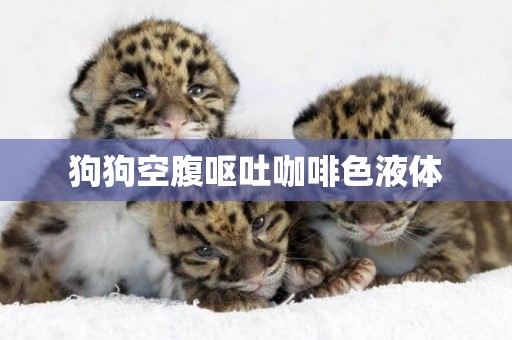 狗狗空腹嘔吐咖啡色液體