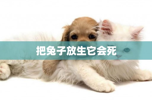 把兔子放生它會死