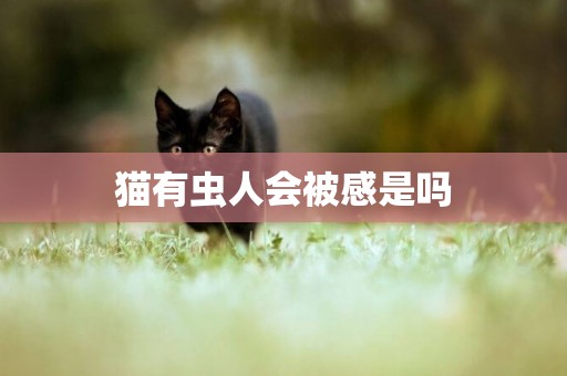 貓有蟲人會被感是嗎