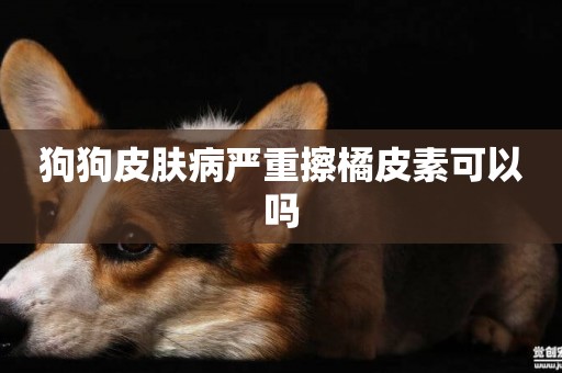 狗狗皮膚病嚴重擦橘皮素可以嗎