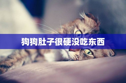 狗狗肚子很硬沒吃東西