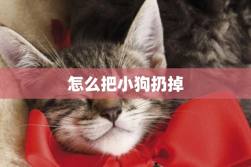 怎么把小狗扔掉