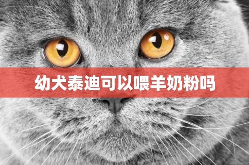 幼犬泰迪可以喂羊奶粉嗎