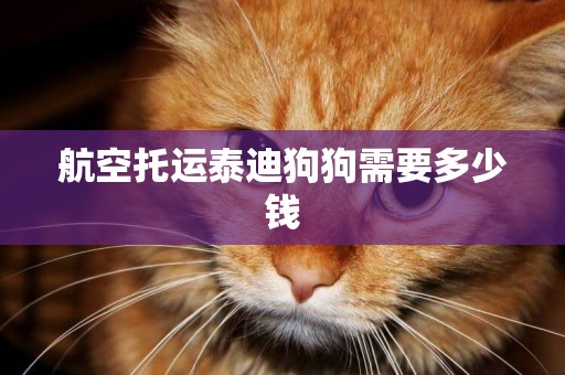 航空托運泰迪狗狗需要多少錢