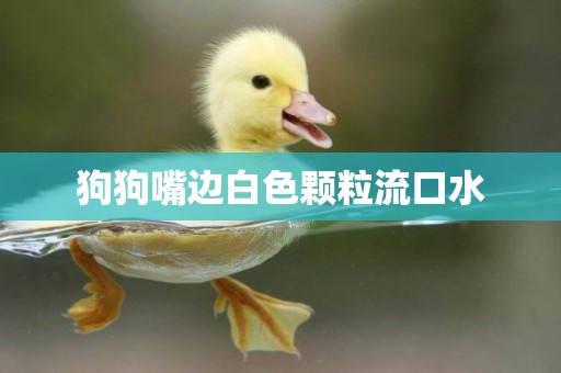 狗狗嘴邊白色顆粒流口水