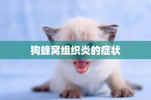 狗蜂窩組織炎的癥狀