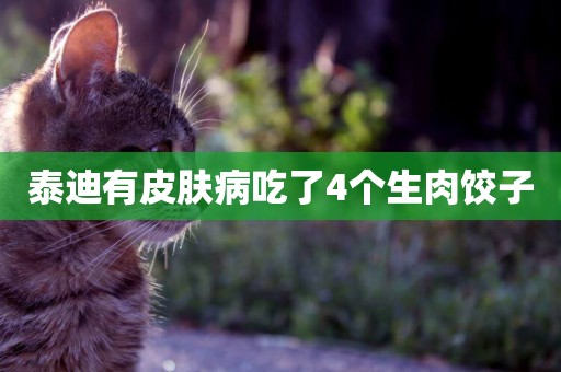 泰迪有皮膚病吃了4個生肉餃子