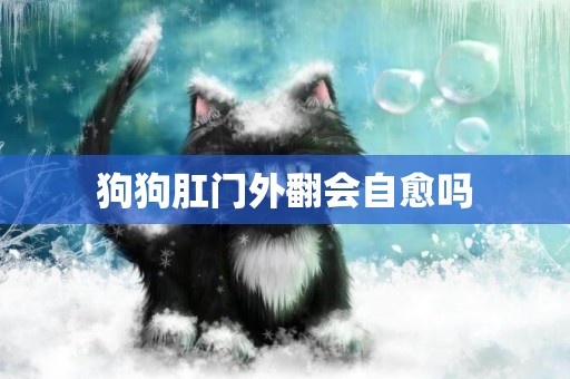 狗狗肛門外翻會自愈嗎