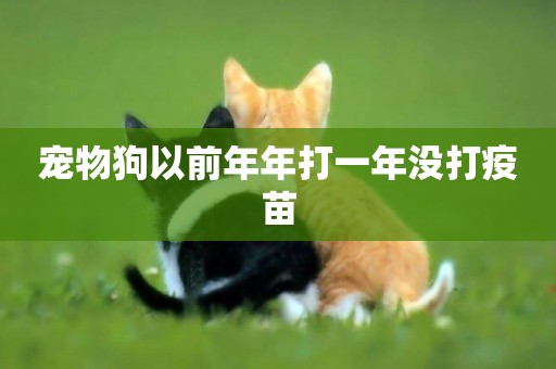 寵物狗以前年年打一年沒打疫苗