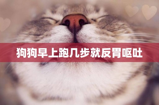 狗狗早上跑幾步就反胃嘔吐