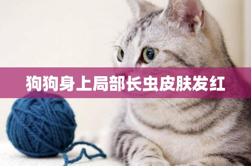 狗狗身上局部長蟲皮膚發紅