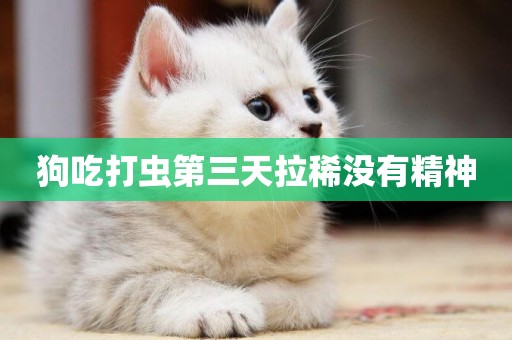 狗吃打蟲第三天拉稀沒有精神