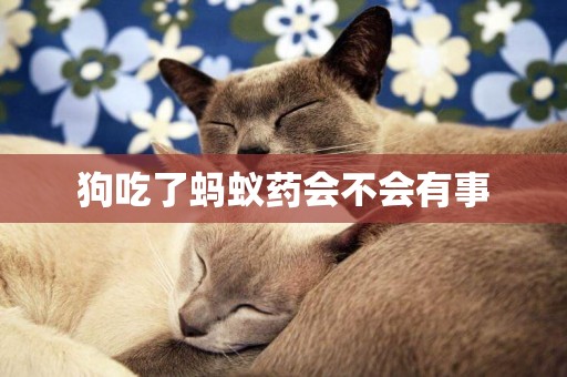 狗吃了螞蟻藥會不會有事