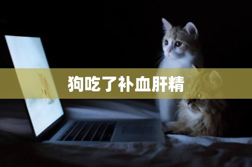 狗吃了補血肝精
