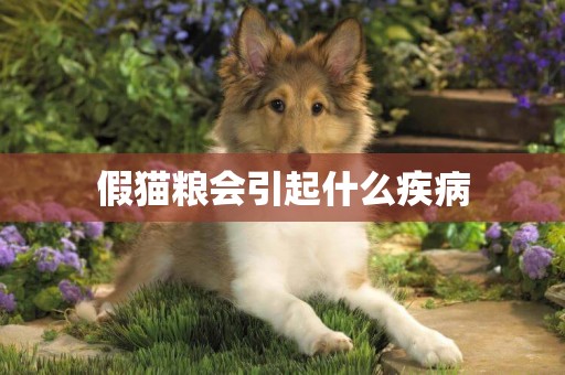假貓糧會引起什么疾病