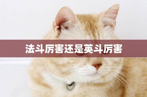 法斗厲害還是英斗厲害
