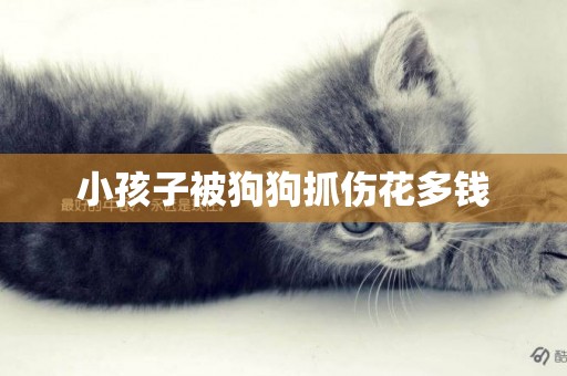小孩子被狗狗抓傷花多錢