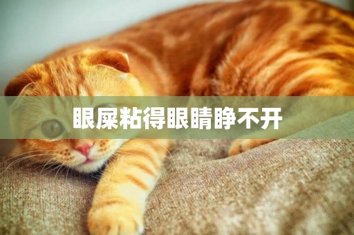 眼屎粘得眼睛睜不開