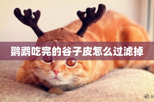 鸚鵡吃完的谷子皮怎么過濾掉