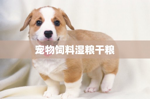 寵物飼料濕糧干糧