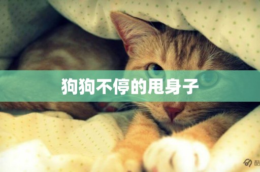 狗狗不停的甩身子