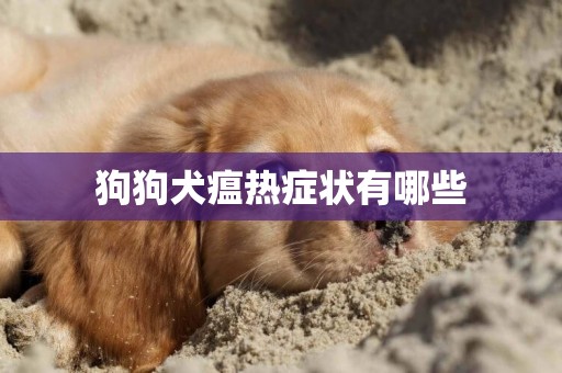 狗狗犬瘟熱癥狀有哪些