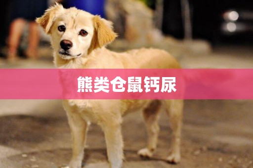 熊類倉鼠鈣尿